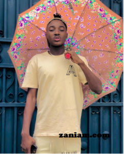 De Umbrella Boy Biography